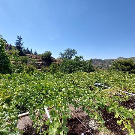 Agros Green Valley Suites Limassol Exterior photo