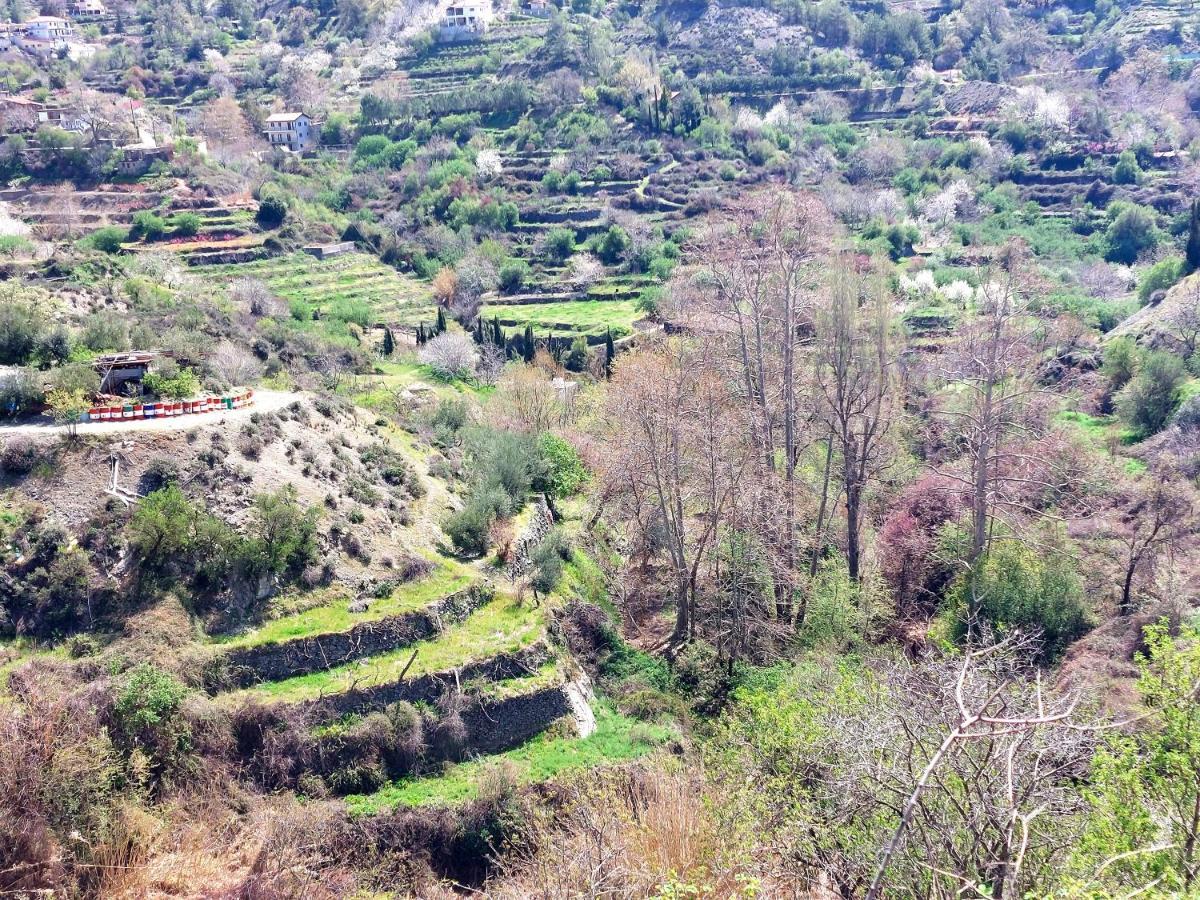 Agros Green Valley Suites Limassol Exterior photo