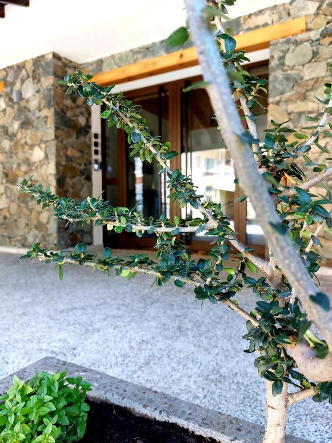 Agros Green Valley Suites Limassol Exterior photo