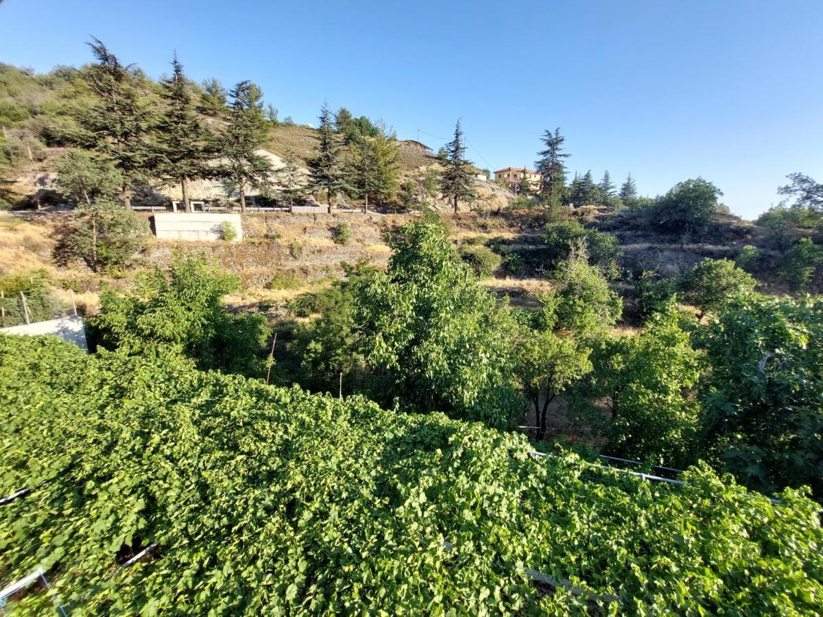 Agros Green Valley Suites Limassol Exterior photo